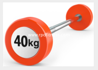 China RAPID Gym Equipment Accessories / Gym Weights Dumbbells For Aerobic / Anaerobic Exercise supplier